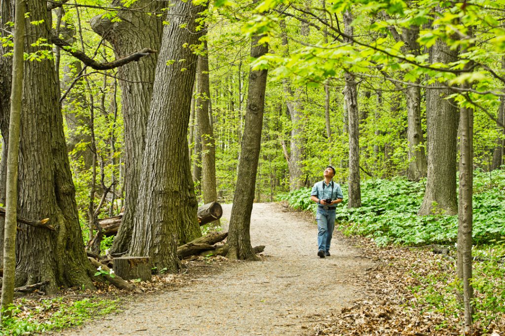 Bronte Creek Provincial Park, A man hiking in the forest