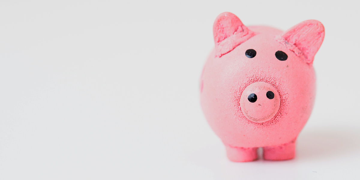 piggy-bank pink piggy bank