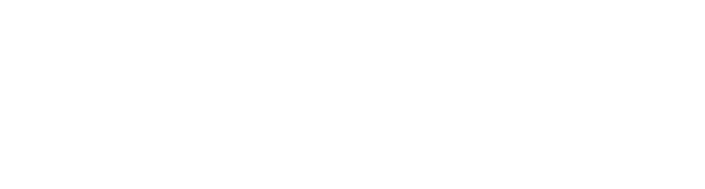 Accredited Imagine Canada - White Logo