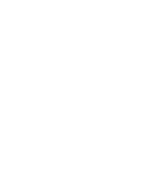 disability lift icon